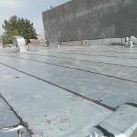 ایزوگام