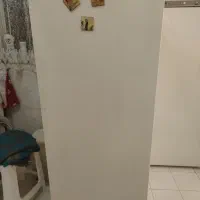 یخچال دو قلوی پارس