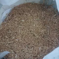گندم|خوردنی و آشامیدنی|تبریز, |دیوار