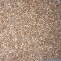 بادام پوست کاغذی تازه درجه یک