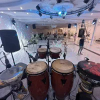 نوازنده حرفه ای ساز های کوبه ای برای عقد مجالس باغ