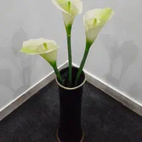 گلهای شیپوری شاخه بلند