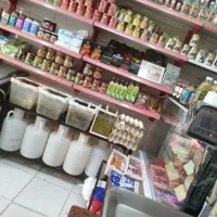 واگذاری پروتئینی وجنس
