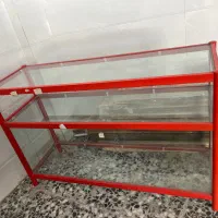 ویترین و مانکن
