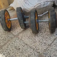 دمبل