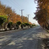 300-متر-باغچه-بر-بلوار-امینی-بکه-مناسب-سخت-پسندان