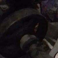 مارگو ۴اینج