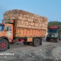 کلش آبی|کنسول، بازی ویدئویی و آنلاین|لالجین, |دیوار