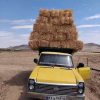 نیسان باری و کمپرسی