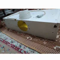 هود|هود|مشهد, حجت|دیوار