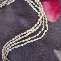 مروارید پرورشی