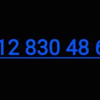 09128304868