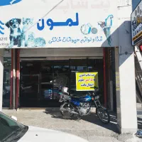 مغازه-جهت-رهن-و-اجاره