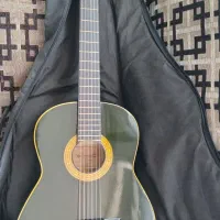 گیتار دیاموند