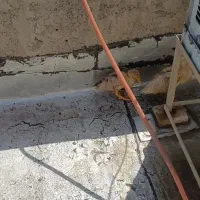 اردک