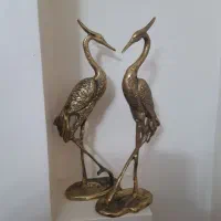 فلامینگو‌برنجی