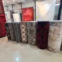 کناره برشی در همه ابعاد،موکت گالری فرش فانتزی