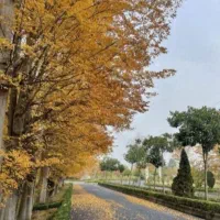 زمین شهرک پزشکان آمارو