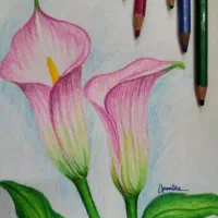 اموزش نقاشی