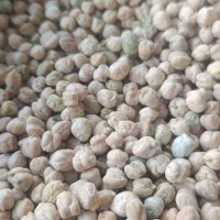 نخود الیگودرز قیمت فوق العاده مناسب