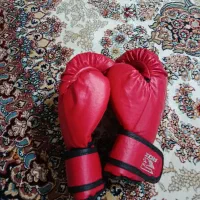 دستکش بوکس و کلاه رزمی