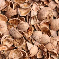 خریدار پوست گردو