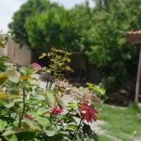 فروش ویلایی،مسکونی،داخل بافت،آب و برق و گاز