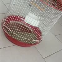 قفس  پرنده
