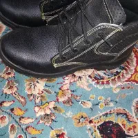 کفش کار|کیف، کفش، کمربند|زارچ, |دیوار