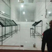 پالت میوه