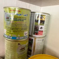 پودر شپش جدید