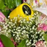 کرم ایسل اصل  بدون بازگشت