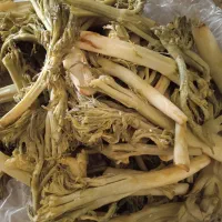 چاخشور تمیز