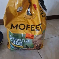 غذای  گربه