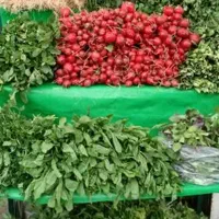سبزی خوردن سبزی قرمه سبزی
