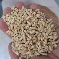 گندم و دان مرغ گوشتی و تخمگذار و بومی