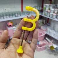 هسته گیر نو