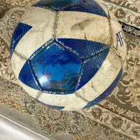 توپ چمن و سالن