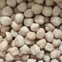 ۱۱۰ کیلو نخود خوش پخت درجه یک زودپز کاشت امسال
