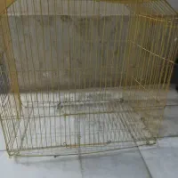 عروس هلندی