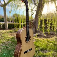 آموزش آکادمیک گیتار