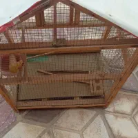 قفس چوبی پرنده