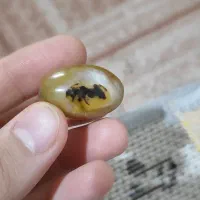 مهره کهنه مصور فوق العاده خاص