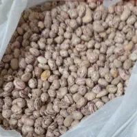 لوبیای خوش خوراک