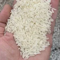 برنج هاشمی تمام الک سورتینگ شده ارگانیک