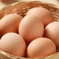 تخم مرغ و تخم غاز