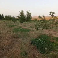 فروش-باغ-در-روستای-خرمدرق