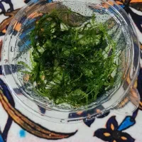 خزه طبیعی بنام کریسمس پلنت