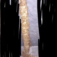 پرده