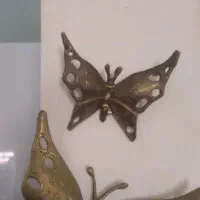 پروانه برنز